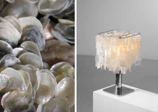 Capiz Shells Explained: Why the “Ibiza Shell” Trend Is a Misnomer