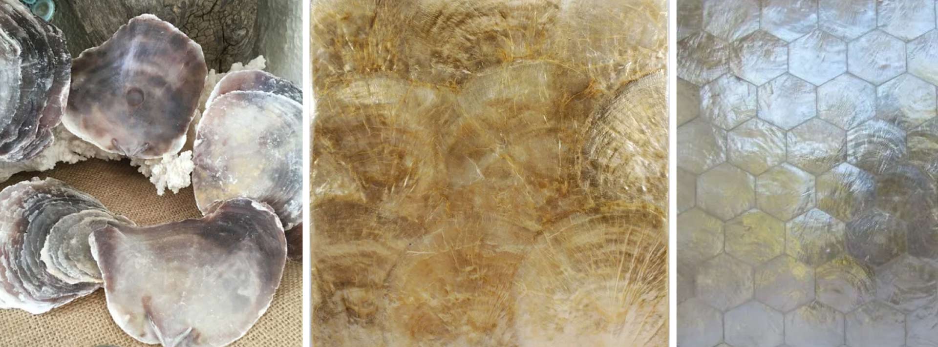 Capiz Shell Sourcing: Why “Ibiza Shell” Is a Misnomer