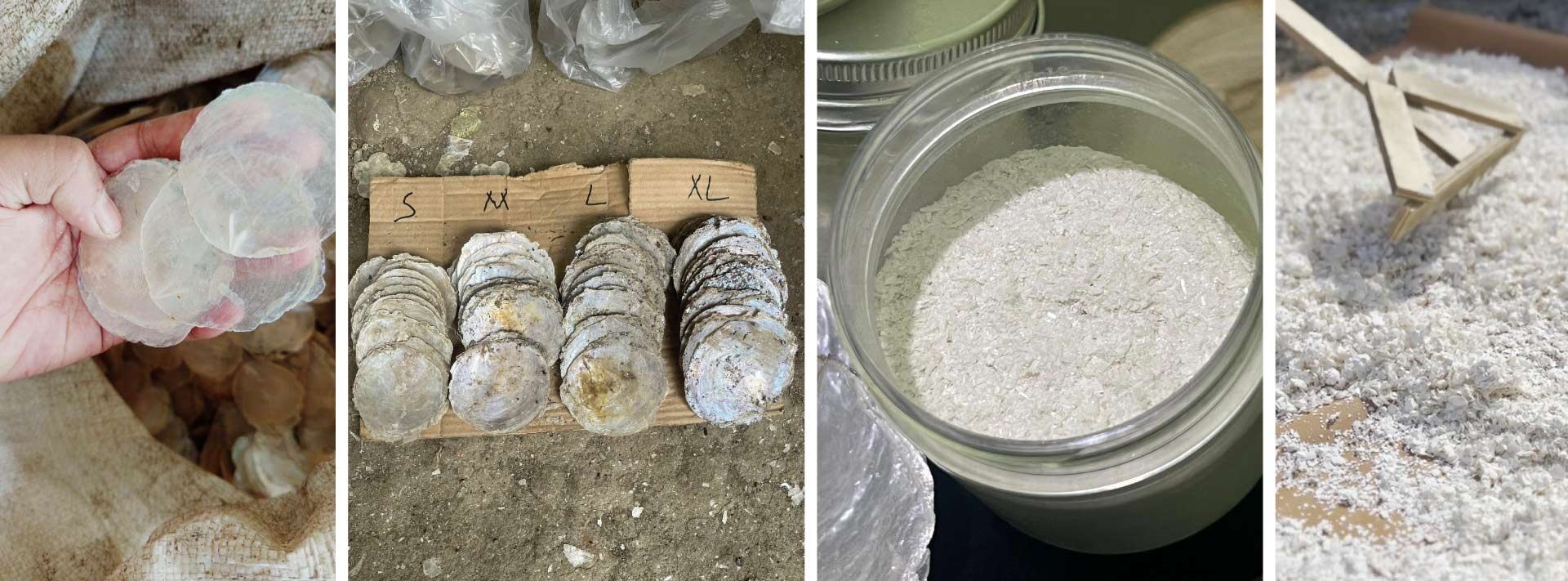 Capiz Shell Sourcing: Why “Ibiza Shell” Is a Misnomer