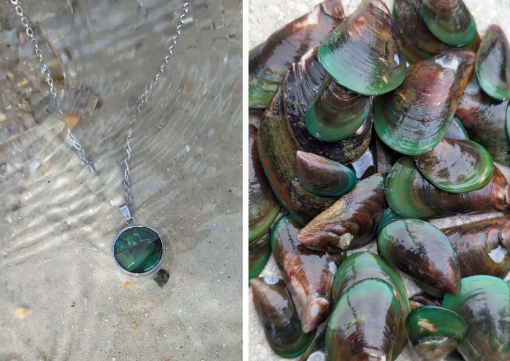 Sustainable Jewelry Upcycling: Transforming Discarded Mussel Shells into Luxury Design