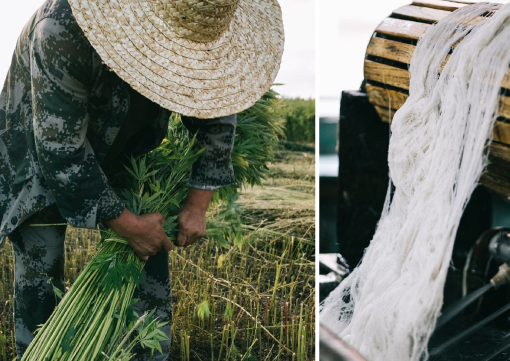 Built to Last: Why Hemp Fabric Is the Sustainable Material of the Moment