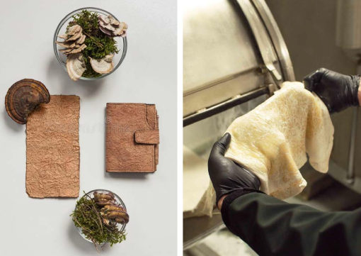 From Dinosaur Bags to Real Materials: What Actually Scales in Leather Alternatives