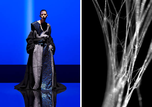 Spider Silk and the Future of Fashion: Can Next-Generation Materials Transform Textile Manufacturing?